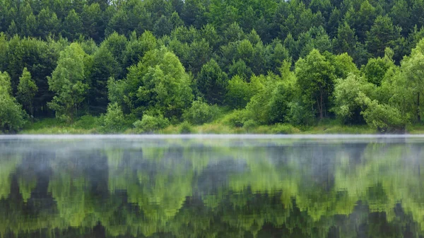 Beautiful Summer Landscape Forest Lake Reflection Water — Stock Photo, Image