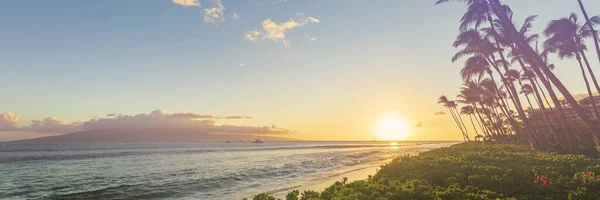 太平洋上のヤシの木と美しい夕日のパノラマビュー — ストック写真