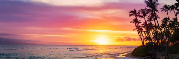 Vista Panorámica Hermosa Puesta Sol Con Palmeras Sobre Océano Pacífico — Foto de Stock