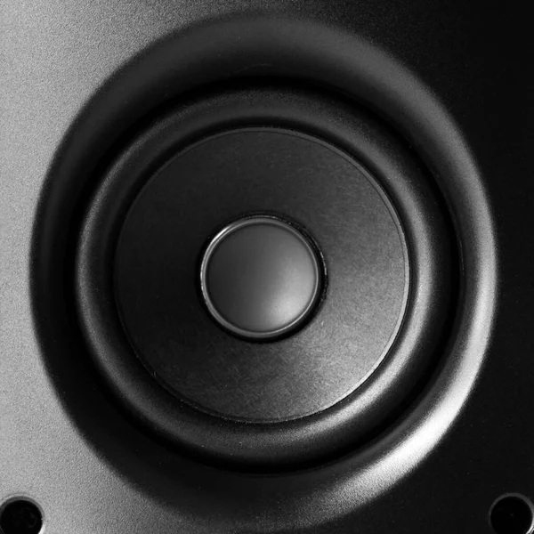 stock image Audio speaker in a black case close up