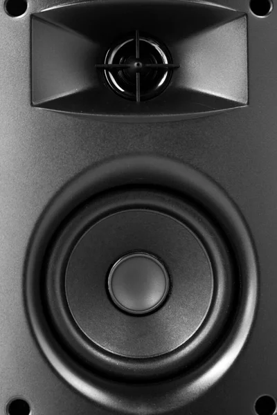 Audio speaker in a black case close up