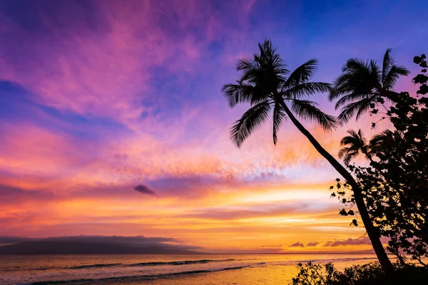 Tropical Hawaiian sunset sky with silhouette of coconut palm trees