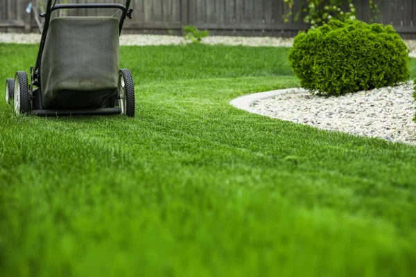 Lawn Mower Cutting Green Grass Gardening Equipment — Stock Photo, Image