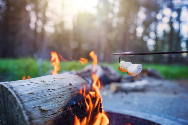 Camping Eld Med Marshmallows — Stockfoto
