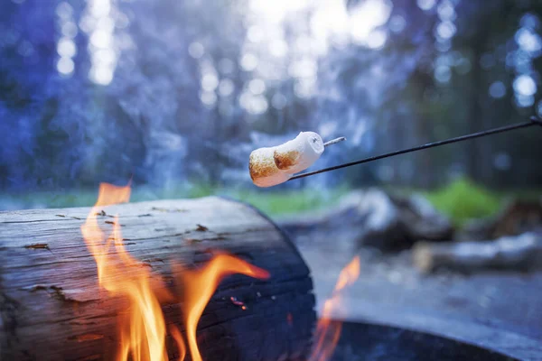 Camping Eld Med Marshmallows — Stockfoto