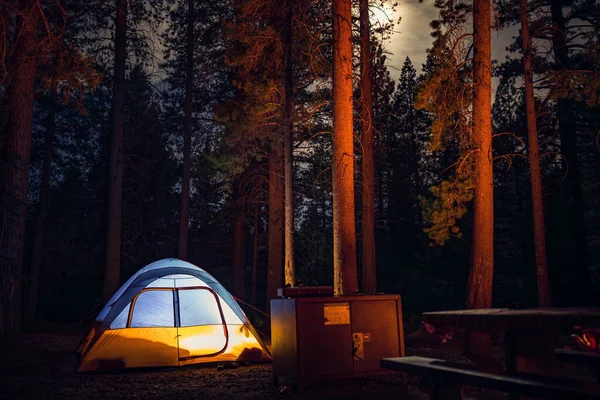 夜间在森林里搭帐篷 — 图库照片