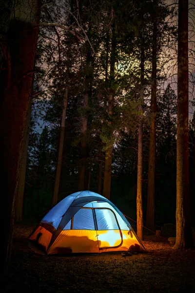 Tente Camping Dans Forêt Nuit — Photo