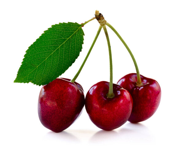 Red cherries isolated on white background. Studio shot with shadow