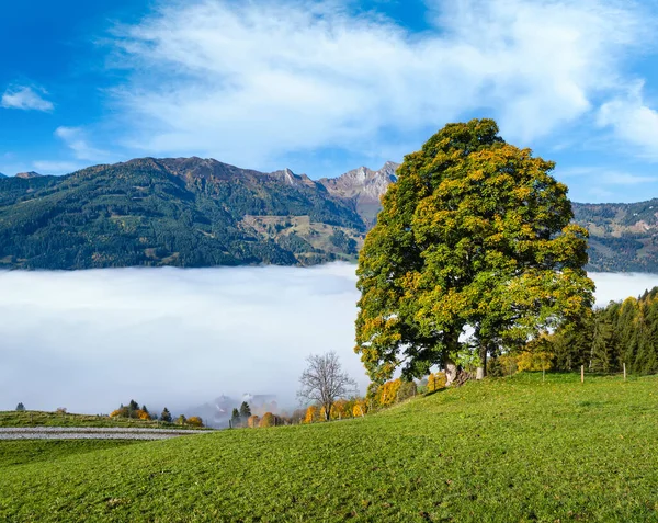 Słoneczna Idylliczna Jesienna Scena Alpejska Spokojny Poranek Alpy Górskie Samotny — Zdjęcie stockowe