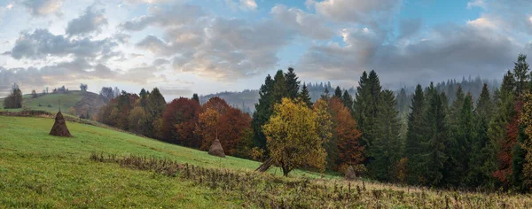 曇りと霧の秋の山のシーン 静かな絵の旅 自然と田舎の美しさのコンセプトシーン カルパティア山脈 ウクライナ — ストック写真