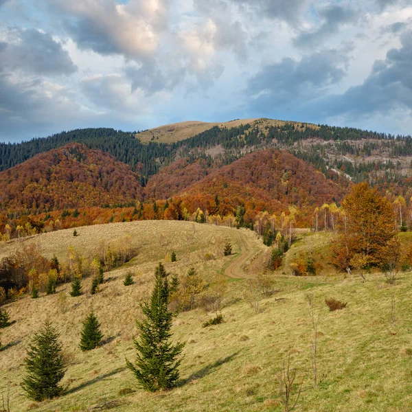 秋天的早晨 喀尔巴阡山脉平静而风景如画 乌克兰 和平旅游 自然与乡村美景概念景观 — 图库照片