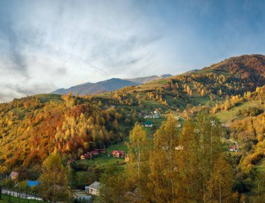 Sonbahar sabahı Karpat Dağları sakin resim sahnesi, Ukrayna. Huzurlu seyahat, mevsimlik, doğa ve kırsal güzellik konsepti.