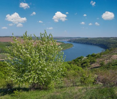 Dnister Nehri Kanyonu 'nun muhteşem bahar manzarası. Resimli kayalar, tarlalar, çiçekler. Shyshkovi Gorby, Nahoriany, Chernivtsi bölgesi, Ukrayna.