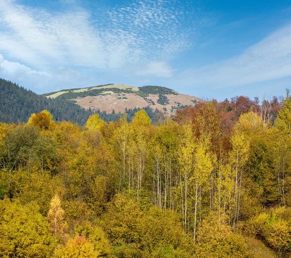 Mattina Autunnale Montagne Carpatiche Calma Scena Pittoresca Ucraina Tranquillo Viaggio — Foto Stock