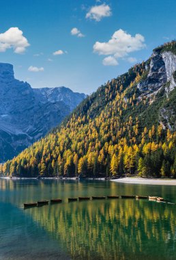 Sonbahar huzurlu Alp Gölü Braies veya Pragser Wildsee. Fanes-Sennes-Prags Ulusal Parkı, Güney Tyrol, Dolomites Alpleri, İtalya, Avrupa. Resimli seyahat, mevsimlik ve doğa güzelliği konsepti.