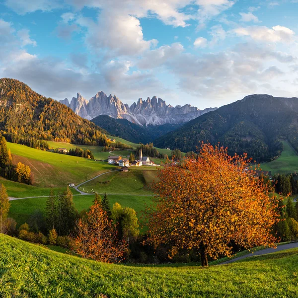 Autumn evening Santa Magdalena famous Italy Dolomites village view in front of the Geisler or Odle Dolomites mountain rocks. Picturesque traveling and countryside beauty concept background.