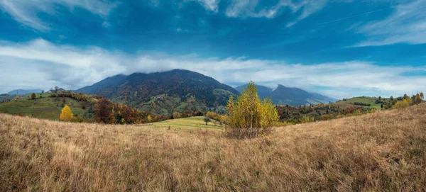 多云和多雾的晨秋草甸景象 宁静的风景秀丽的旅游 季节性的 自然的和乡村的美的概念风景 乌克兰喀尔巴阡山脉 — 图库照片