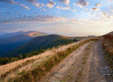sığır-üreme çiftliği ve ülke road, Karpatlar (Ukrayna) sonbahar yatay.