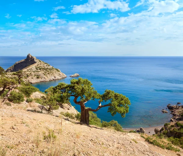 Boróka Rock Tengerre Capchik Cape Mögött Novyj Svit Tartalék Crimea — Stock Fotó