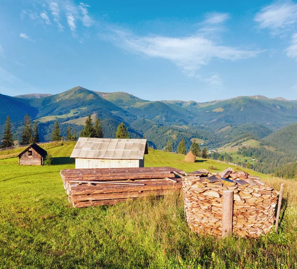 Brennholzstapel Auf Sommer Bergbauernhof Karpaten Ukraine — Stockfoto