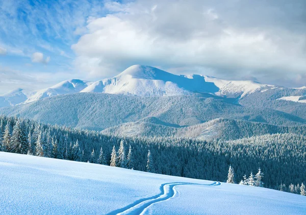Morning Winter Calm Mountain Landscape Ski Track Coniferous Forest Slope — Stock Photo, Image