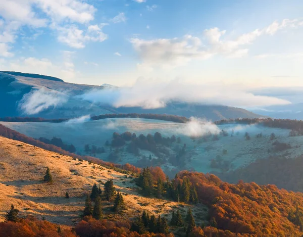 Morgendlich Neblige Herbstliche Berglandschaft Karpaten Ukraine — Stockfoto