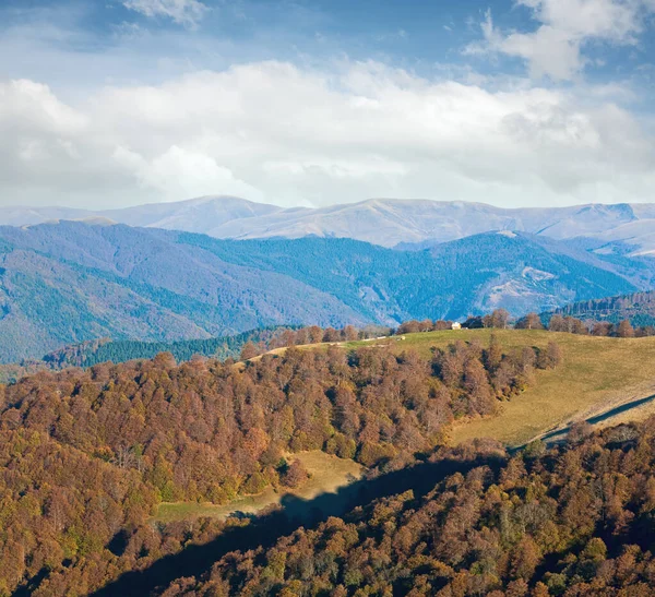 Podzimní Mlhavé Ráno Horský Hill Karpatský Ukrajina — Stock fotografie