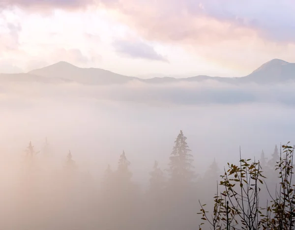 Ομίχλη Πρωί Στις Πλαγιές Της Οροσειράς Των Καρπαθίων Ivano Frankivsk — Φωτογραφία Αρχείου