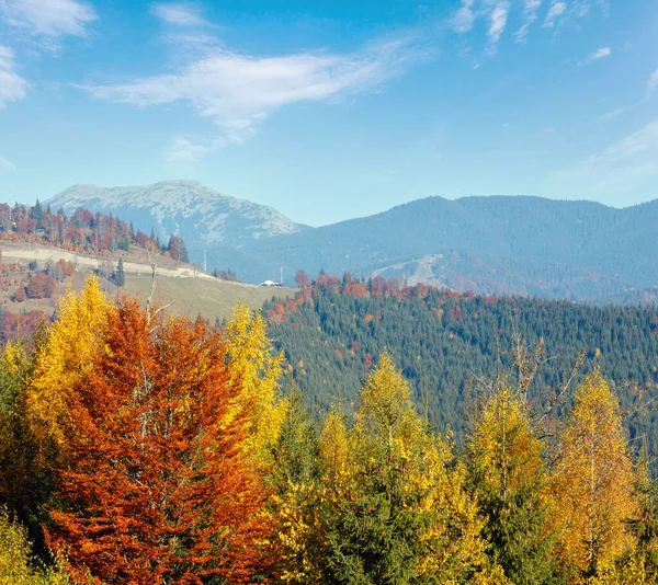Inclinações Outono Manhã Com Árvores Coloridas Cárpatos Yablunytskyj Pass Ivano — Fotografia de Stock