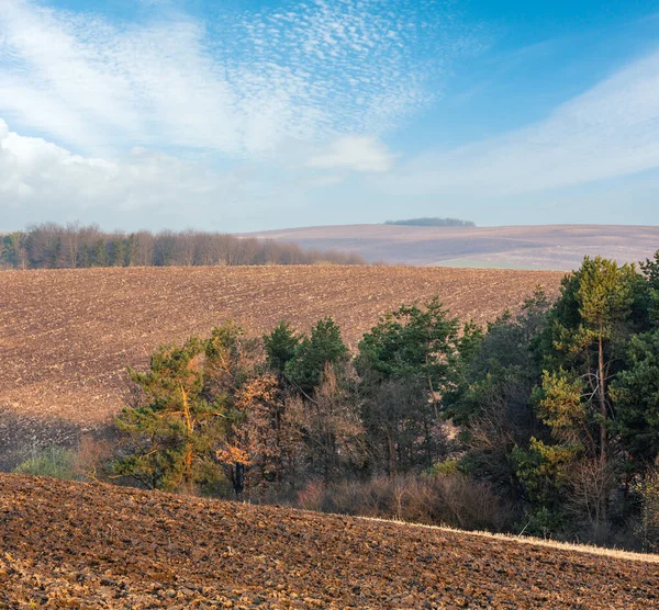 Lente Ochtend Landelijke Landschap Met Geploegd Agrarische Velden Heuvels Bomen — Stockfoto