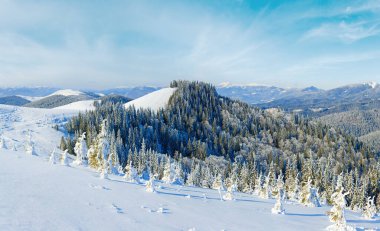 Kış sakin dağ manzarası Ren ve karla kaplı çam ağaçları.