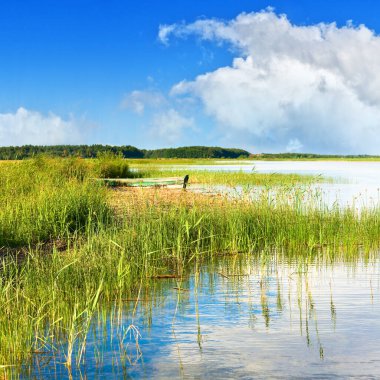 Yazın hızlı göl manzarası, kıyıya yakın ahşap tekne.