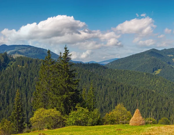 Verano Prado Verde Montañoso Con Pila Heno Cárpatos Mts Ucrania —  Fotos de Stock