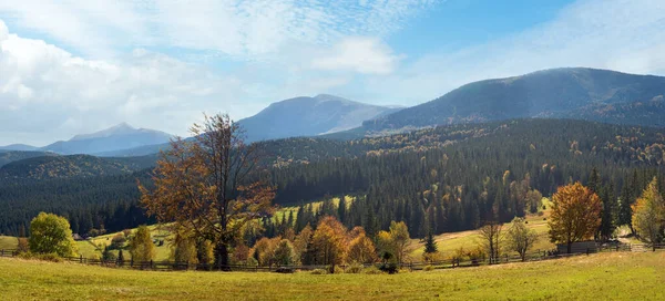 Krásné Podzimní Ráno Okraje Karpatské Vesnice Protisvětle — Stock fotografie