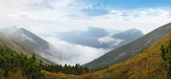 Montagne Carpazie Nebbiose Ucraina Paesaggio Con Uccelli Lontani Cielo — Foto Stock