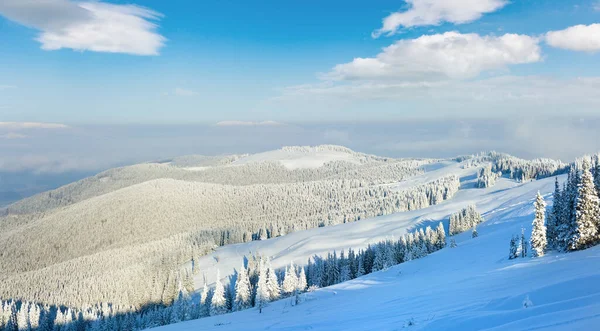 Зимний Спокойный Горный Пейзаж Карпаты Украина — стоковое фото
