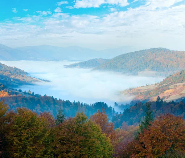 秋雾蒙蒙的山谷 乌克兰喀尔巴阡山脉 — 图库照片