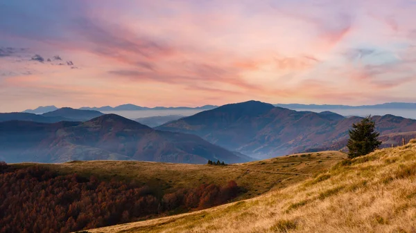 Sonbahar Sabahı Karpat Dağ Puslu Manzara Panorama — Stok fotoğraf