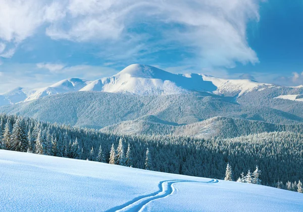 Morning Winter Calm Mountain Landscape Ski Track Coniferous Forest Slope — Stock Photo, Image