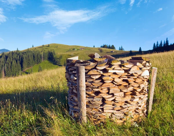 stock image Firewood stack on summer mountain farmyard  (Carpathian Mountains, Ukraine)