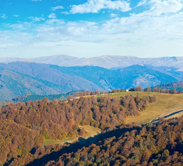 Hösten Dimmig Morgon Berg Kulle Karpaterna Ukraina — Stockfoto