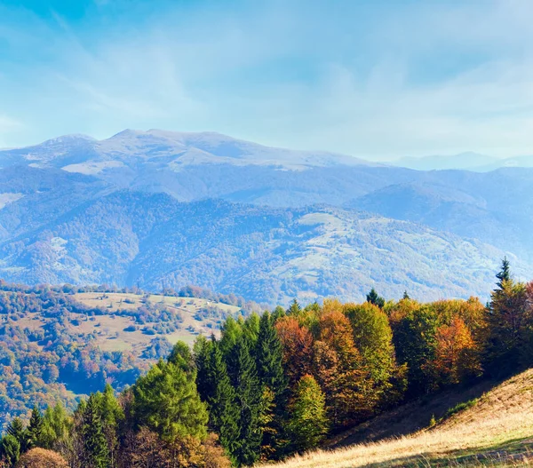 Słoneczny Jesień Lasów Górskich Zboczu Góry Podkarpacie Ukraina — Zdjęcie stockowe