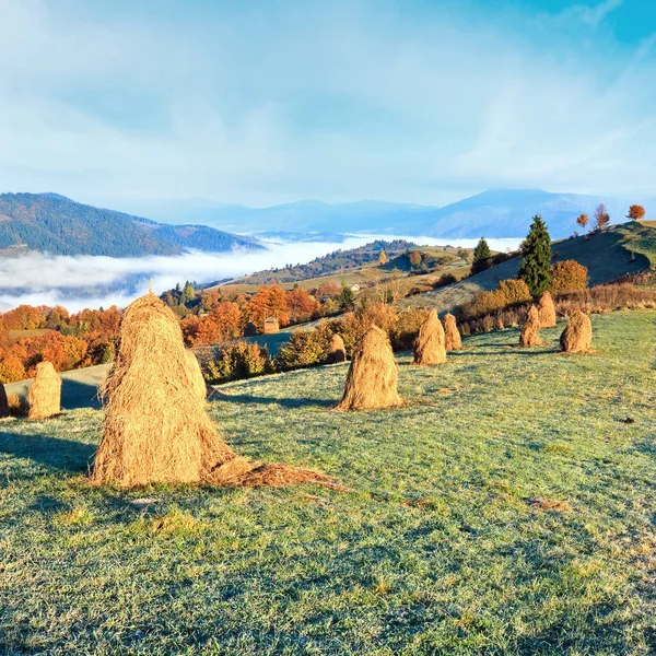 Jesienny Mgły Ranek Płaskowyż Stosem Siana Mighgirya Wsi Obrzeżach Karpaty — Zdjęcie stockowe