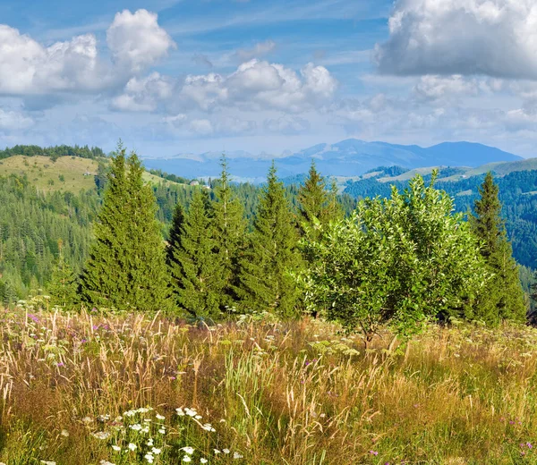 Sommer Berglandschaft Mit Blühenden Wiesen Davor — Stockfoto