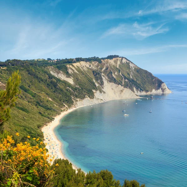 Verão Adriático Mar Baía Florescendo Spiaggia Mezzavalle Praia Perto Portonovo — Fotografia de Stock
