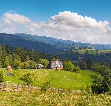 Yaz dağlık yeşil glade ile küçük bir ülke Emlak (slavske Köyü, Karpat mts, Ukrayna). 
