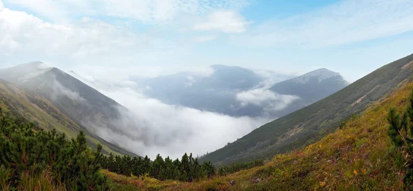 Misty Carpathian Mountains Ucrânia Paisagem Com Aves Distantes Céu — Fotografia de Stock