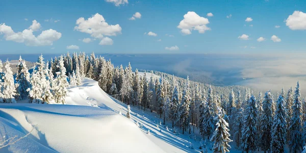 Winter Rime Snow Covered Hill Top Fir Trees Snowdrifts Carpathian — Stock Photo, Image