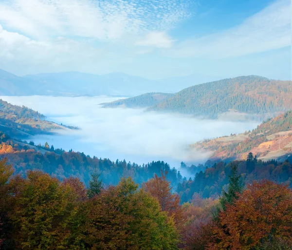 Dolina Góra Jesień Mgliste Rano Podkarpacie Ukraina — Zdjęcie stockowe