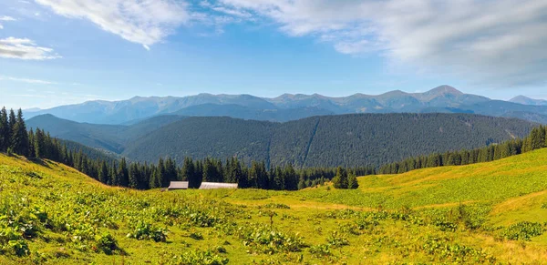 Summer Chornohora Mountain Ridge View Vesnjarka Plateau Carpathian Ukraine — Stock Photo, Image